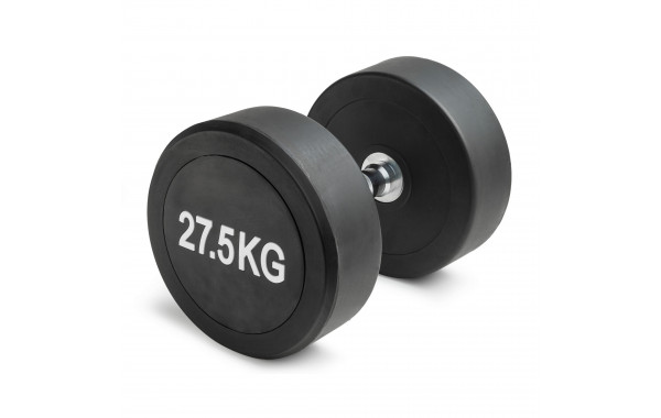 Гантель неразборная круглая 27,5 кг VictoryFit VF-R275 600_380