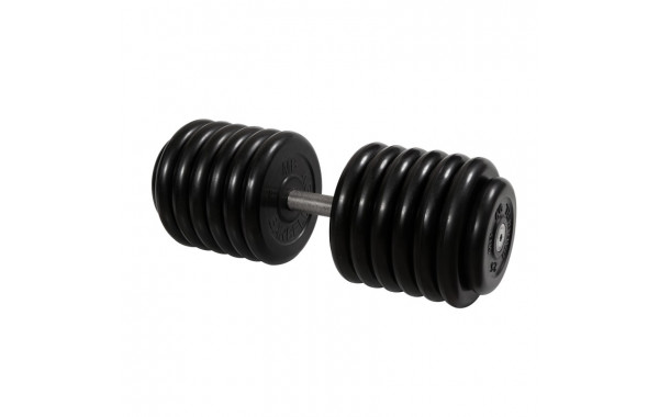 Гантель Профи, 66 кг MB Barbell MB-FdbM-B66 600_380