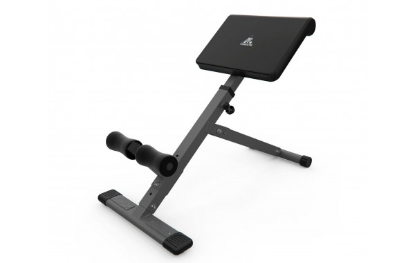 Гиперэкстензия DFC Homegym SJ1006G серый 600_380