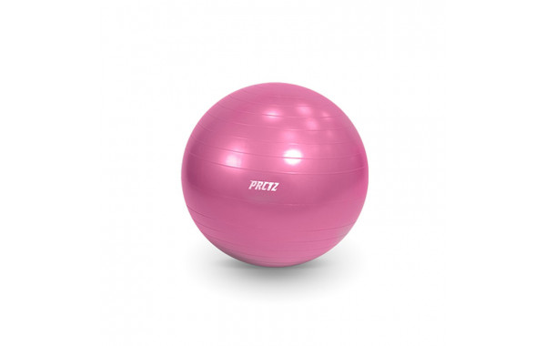 Мяч гимнастический d55 см PRCTZ GYM BALL ANTI-BURST PY6010 600_380