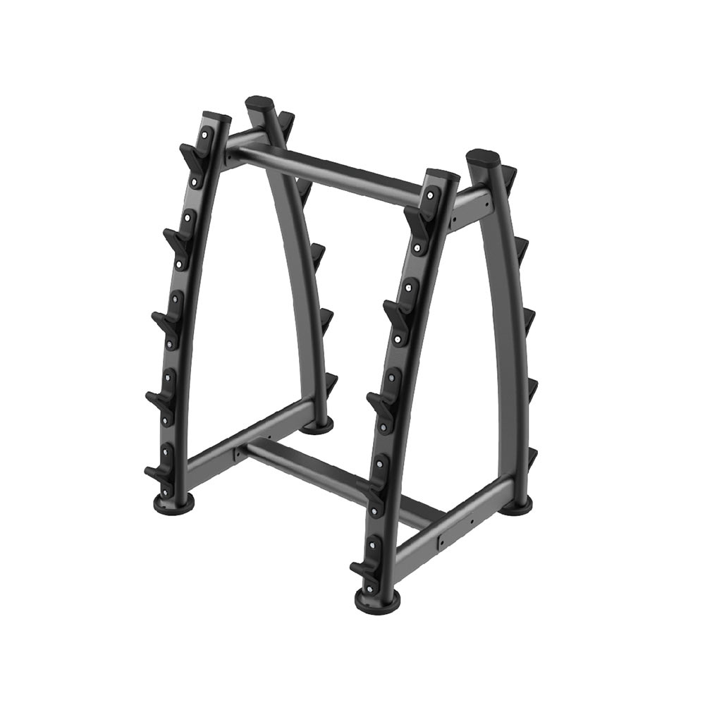 Стойка для штанг Live Pro 10 Barbell Rack LP8853 1000_1000