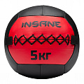 Медбол 5кг Insane IN24-WB100 красный 120_120